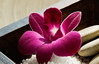 Blush Beauty Saloons - Australian Destinations 4