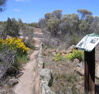 Christmas Rock Walk - Australian Destinations