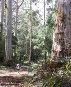  Australian Destinations