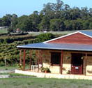 Vineyard 28 - Australian Destinations