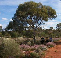 Karlkurla Bushland Park - Australian Destinations