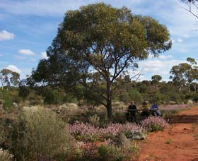 Karlkurla Bushland Park - Australian Destinations 0