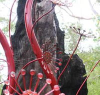 Understory Art In Nature - Australian Destinations
