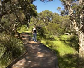 Leschenault Peninsula Conservation Park - Australian Destinations 0