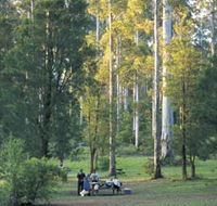 Big Brook Arboretum - Australian Destinations