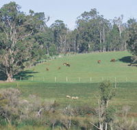 Scenic Drives - Bunbury Collie Donnybrook - Australian Destinations