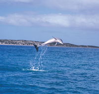 Steep Point - Australian Destinations