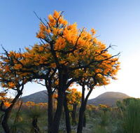 Cape Le Grand National Park - Australian Destinations