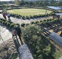 Kojonup Rose Maze - Australian Destinations