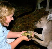Discovery Bay's Walk on the Wild Side - Australian Destinations