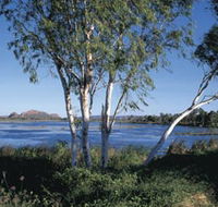 Celebrity Tree Park - Australian Destinations