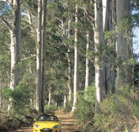 Mount Shadforth Scenic Drive - Australian Destinations