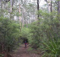 Margaret River Rails Trail - Australian Destinations