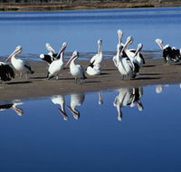 Peel Region Canoe Trails - Australian Destinations