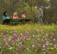 Gwambygine Park - Australian Destinations