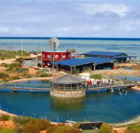 Ocean Park Aquarium - Australian Destinations