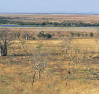 Telegraph Hill - Australian Destinations