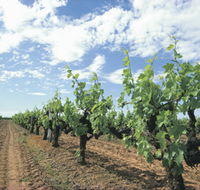 Blackwood Meadery - Australian Destinations