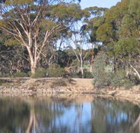 Merredin Railway Dam - Australian Destinations
