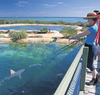 Shark Bay Marine Park - Australian Destinations