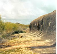 Totadgin Dam Reserve - Australian Destinations