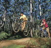 Leeuwin-Naturaliste National Park - Cowaramup - Australian Destinations