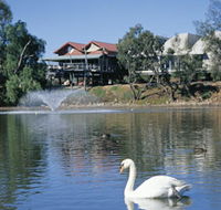 White Swans - Australian Destinations