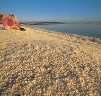 Shell Beach - Australian Destinations