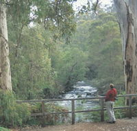 Cascades - Australian Destinations