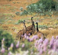 Jurabi Coastal Reserve - Australian Destinations