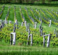 Sienna Estate Winery - Australian Destinations