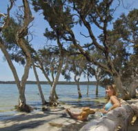 Stokes National Park - Australian Destinations