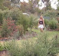 The Mythic Mazes - Australian Destinations
