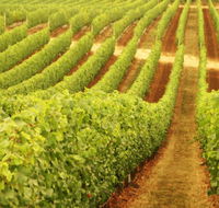 Xanadu Wines - Australian Destinations