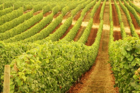 Xanadu Wines - Australian Destinations 0