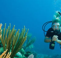 Coastal Water Dive - Australian Destinations