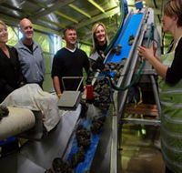 Eyre Peninsula's Seafood Trail - Australian Destinations