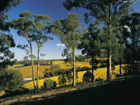 Lobethal SA Australian Destinations
