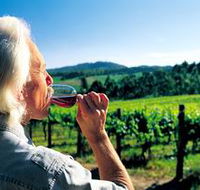 Ashton Hills Vineyard - Australian Destinations