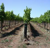 Temple Bruer Winery - Australian Destinations