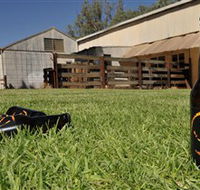Wilkadene Woolshed Brewery - Australian Destinations