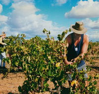 Torbreck Vintners - Australian Destinations