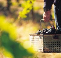 Burge Family Winemakers - Australian Destinations
