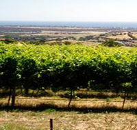 Braydun Hill Vineyard - Australian Destinations