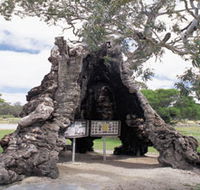 The Herbig Family Tree - Australian Destinations