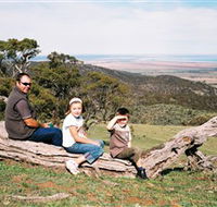Bridle Track - Australian Destinations