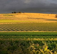 Kellermeister Wines - Australian Destinations