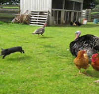 Echo Farm - Australian Destinations
