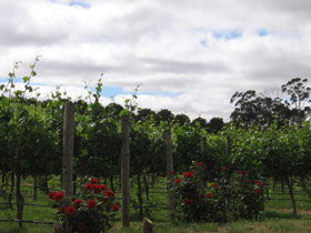  Australian Destinations