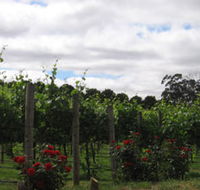 Manyara Vineyard - Australian Destinations